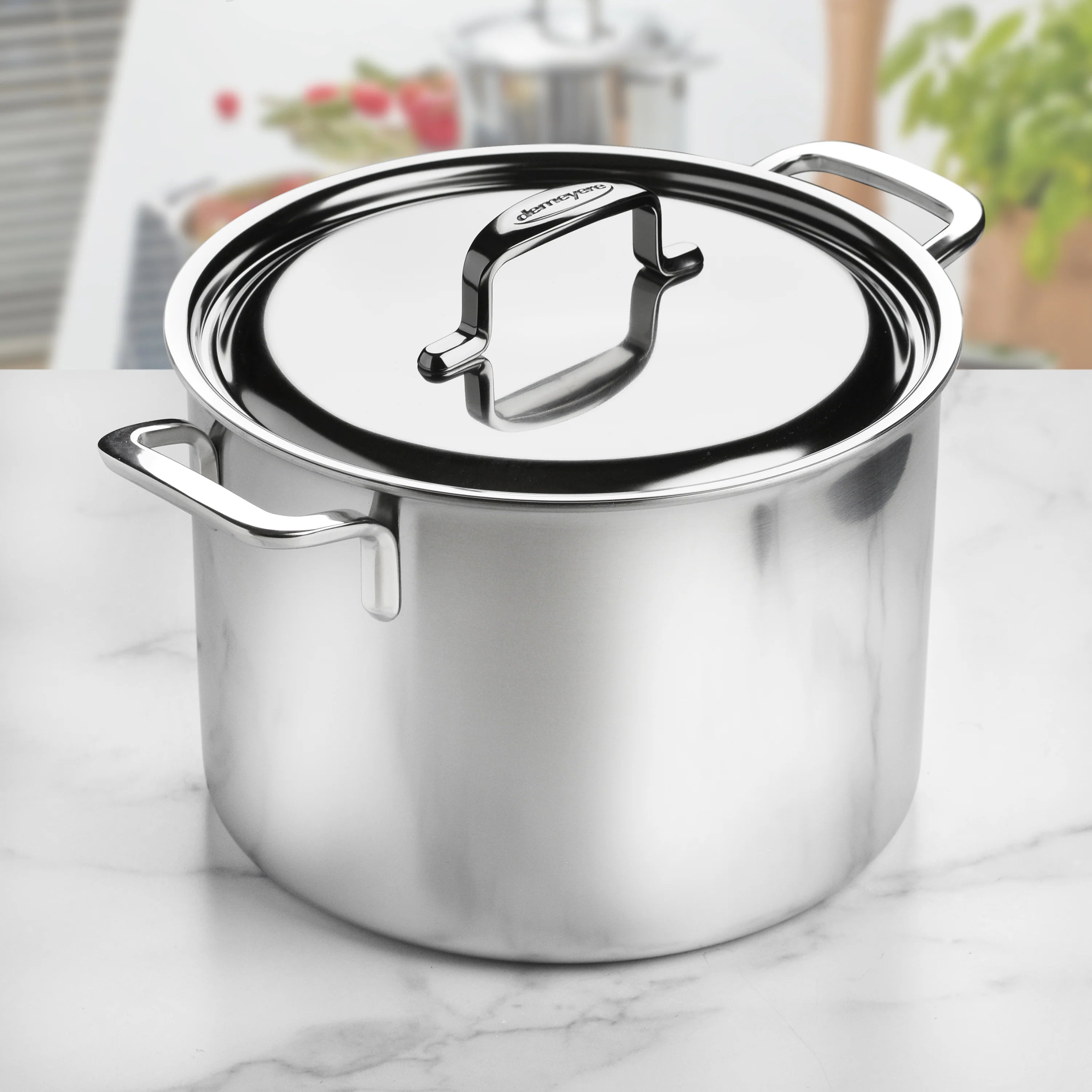 Demeyere Industry 10 Piece 18/10 Stainless Steel Cookware Set - 1029795 Stock Pot