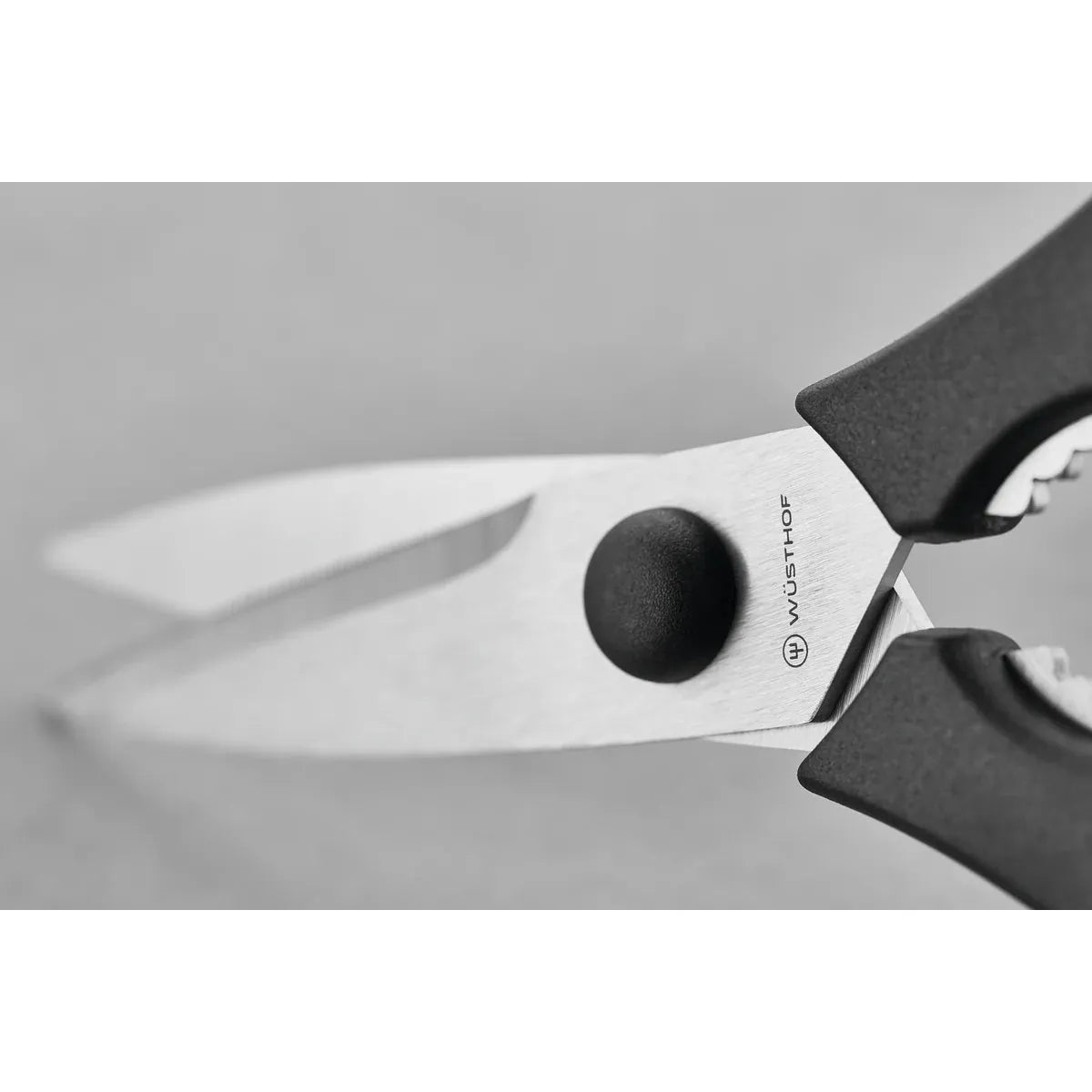 Wüsthof Detachable Kitchen Shears 7 cm / 2" Blade Sharp
