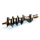 Fabio Leonardi TC22 Replacement Meat Grinder Auger / Screw Feeder-Consiglio's Kitchenware